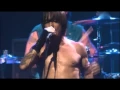 Download Lagu Red Hot Chili Peppers - Otherside - Live at Olympia, Paris