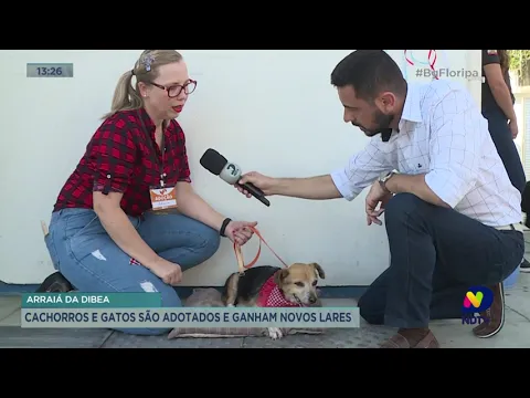 Dibea promove arraiá para incentivar adoção de cachorros e gatos