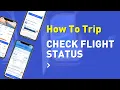ALL ABOUT FLIGHTS ACCURATE FAST How To Check Flight Status
