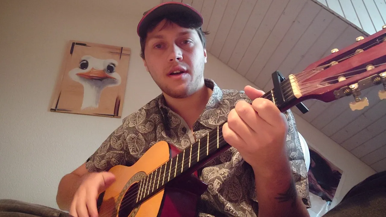 [Guitar Cover] Telltale's The Walking Dead S2 - In the Pines - Janel Drewis