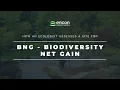 How an Ecologist Assesses a Site for BNG Biodiversity Net Gain