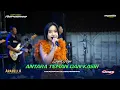 Download Lagu ANTARA TEMAN \u0026 KASIH - SEPTI AYU - ARABELLA MUSIC  REPOERSA COMMUNITY - POMAHAN SULANG REMBANG