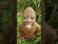 Download Lagu comedy #haveitoldyoulatelythatilovey #viralvideos #viralshort #comedy #funny