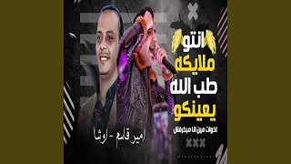 اخوات مين انا مبخرفش دندنها
