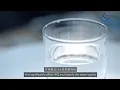 Efficient Prediction of Water Quality Index Using Machine Learning Algorithms