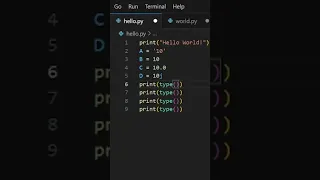 Python Using the type Function for Type Identification