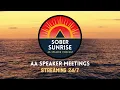 AA Speakers Friends of Bill W Alcoholics Anonymous Speakers