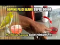 Download Lagu Ngapain Beli Kalau Bisa Bikin Sendiri || BUKTIKAN SAJA‼️