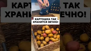 This Way Potatoes Will Last Forever A Simple Inexpensive Method Garden Potatoes Summerhouse 