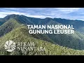 Download Lagu Taman Nasional Gunung Leuser | Leuser Ecosystem Rainforest