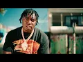 Fredo Bang - Free Melly