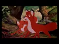 Download Lagu The Fox and the Hound- Tod Vs Copper MP3