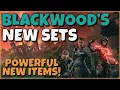 Detailed NEW Item Sets Review One of My Favorite Patches for Gear ESO - Blackwood PTS 7 0 0