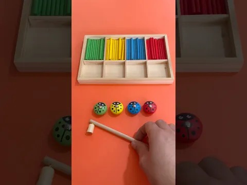 هابي بيرثدي سوسو
