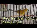 Download Lagu Plecimu Bakalan Ngotot Bunyi dan nembak ga pake lama!!!