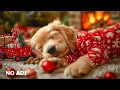 12 Uur Hond Kalmerende Muziek 🐶🎅 Anti Verlatingsangst 🎄 Diepe Slaap 💖 Geen Reclame
