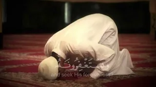 سورة المائده قراءة جميله بصوت القارئ عبدالرحمن مسعد دندنها