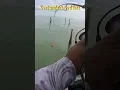 Download Lagu Terlambat...‼️‼️ Fatal, Mancing Kakap Putih di Rumpon Laut