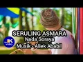 Nada Soraya - Seruling Asmara Cipt . Asmin Cayder