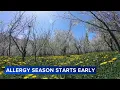 Chicago allergy season is starting earlier this year