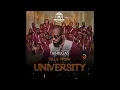 Fabregas le Métis Noir ft. Light Music Villa Nova - Chérie Ya Moto (Official Audio)