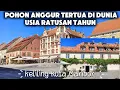 Download Lagu Inilah pohon anggur tertua di dunia di kota Maribor || mumpung cuaca cerah hari ini