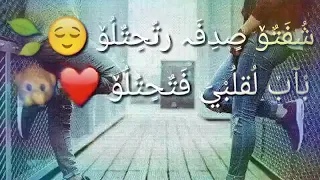 شفتك صدفه يا البي 