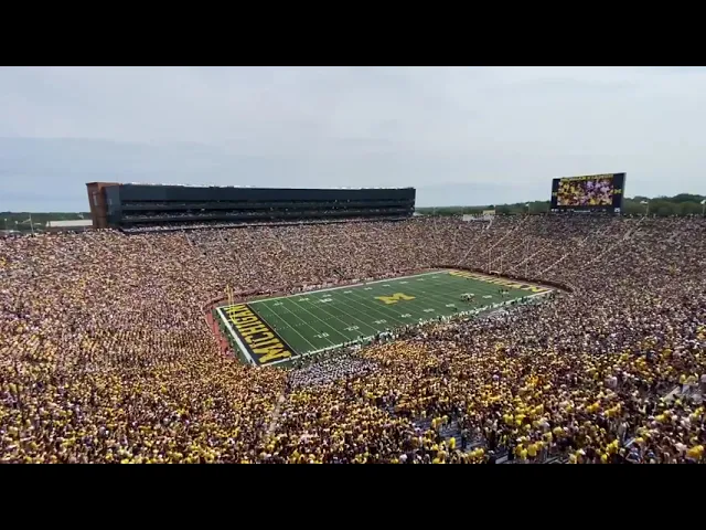 WHOLE MICHIGAN STADIUM SINGS MR. BRIGHTSIDE