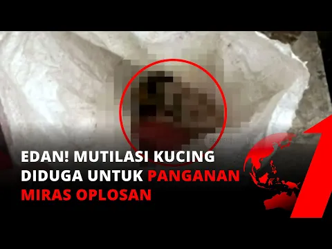 Sedang Viral! Jagal Kucing di Medan Ramai Diperbincangkan | tvOne
