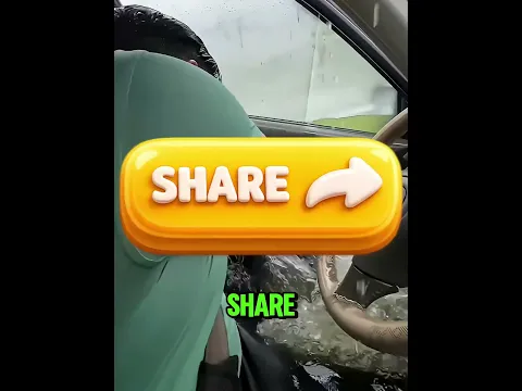 car safety tips bro's #shorts