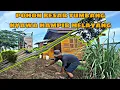 Download Lagu POHON TUMBANG HAMPIR MENIMPA PONDOK HUTAN NYAWA JADI TARUHAN DAN LANGSUNG PULANG KEKAMPUNG...
