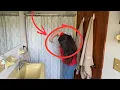 Everyone Will Be Cutting Up Their Shower Curtains When They See This Genius