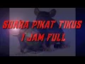 Download Lagu suara pemikat tikus ampuh 1 jam full || tikus pasti datang