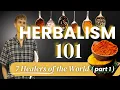 Herbalism 101 - 7 Healers of the World Part 1