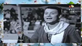 محمد رشدي الله الله يابدوي زمن الفن الجميل  محمد رشدي الله الله يابدوي زمن الفن الجميل