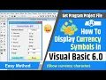 How to display currency symbols in visual basic 6 0 Show currency character in visual basic