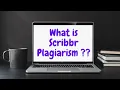 Scribbr plagiarism checker