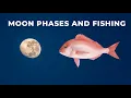 How the Moon and Tides affect bite times for fish like snapper trevally and kingfish