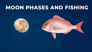 How the Moon and Tides affect bite times for fish like snapper trevally and kingfish