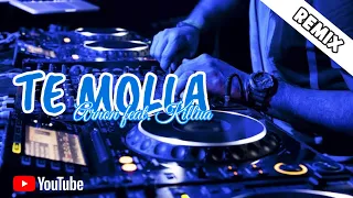 Download LAGU DJ TE MOLLA (ARNON FT. KILLUA) REMIX HOUSE MUSIC 2020 MP3