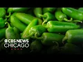 Jewel-Osco recalls 2 products with jalapenos due to possible salmonella contamination