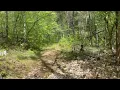 Arkansas hunting lease now available on HLRBO