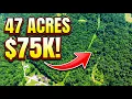 Why Is This Massive 47-Acre Creekfront Property in WV So Cheap