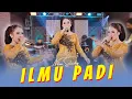 Download Lagu Niken Salindri - ILMU PADI - Ora Ono Wong Sukses Tanpo Kerjo (Official Music Video ANEKA SAFARI)