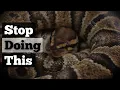 5 MISTAKES Ball Python Owners Make