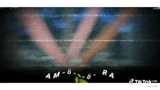 اغنيه واتنين عشرتهم طالت احمد 