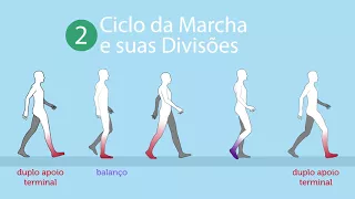 Marcha Normal – ciclos e fases da marcha