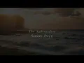 The Ambientalist - Sunny Days