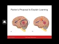 PSY 102 - Chapter 12 Learning Memory and Intelligence