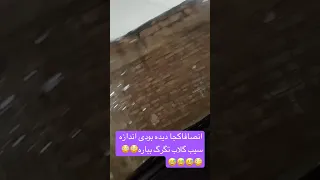 مگه میشه العان همه جا 50درجه اس هوا چطوری میشه اخه Viralvideo Reels Video Viralshorts Shorts 